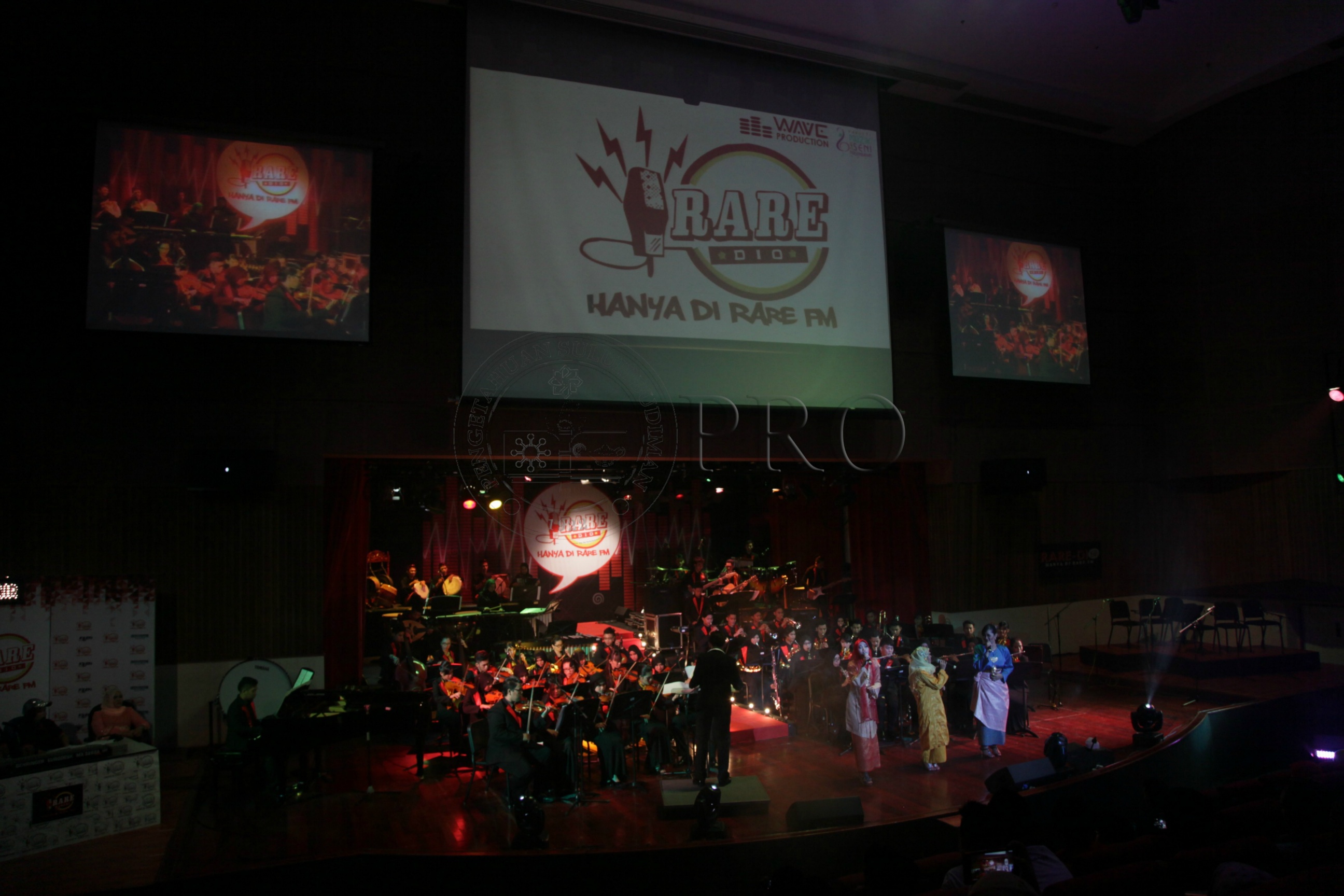 PRO 14 29 RARE IMG 0617